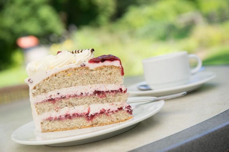 Datei:Buchweizen-torte 01.jpg