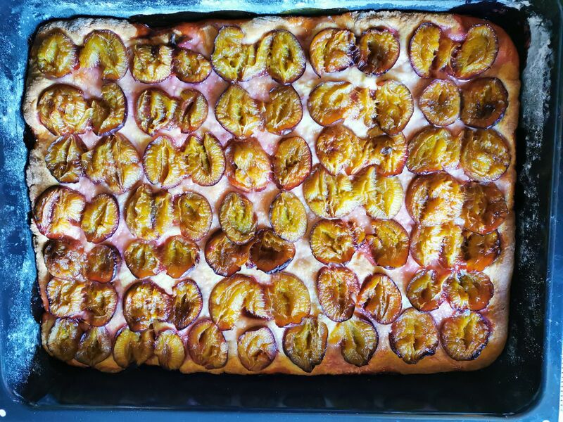 Datei:Zwetschgen-kuchen vom Blech 01.jpg